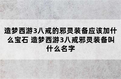 造梦西游3八戒的邪灵装备应该加什么宝石 造梦西游3八戒邪灵装备叫什么名字